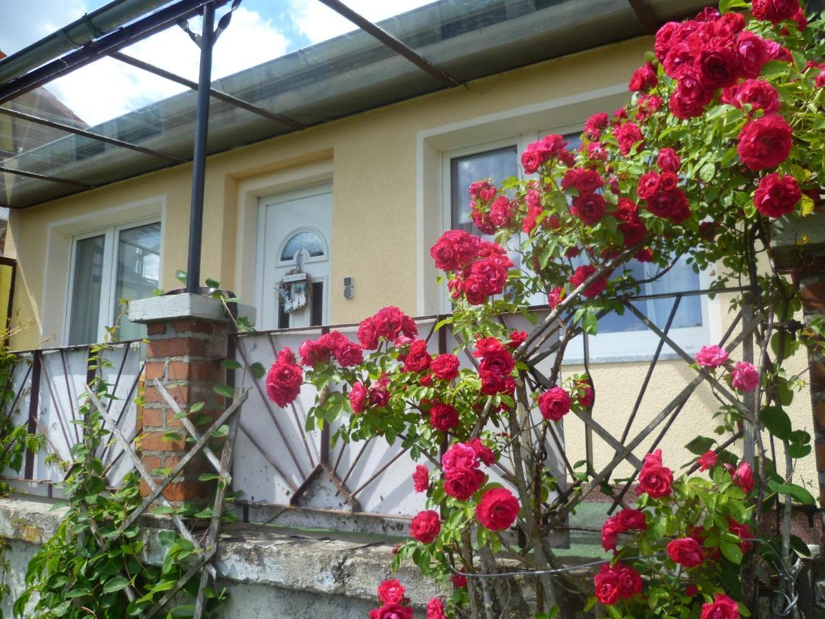 Ferienhaus 1 เอลบิงเงอโรเดอ ภายนอก รูปภาพ